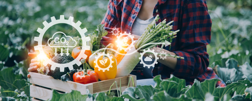 Auditor ISO 22000:2018. Sistemas de Gestión de Seguridad Alimentaria