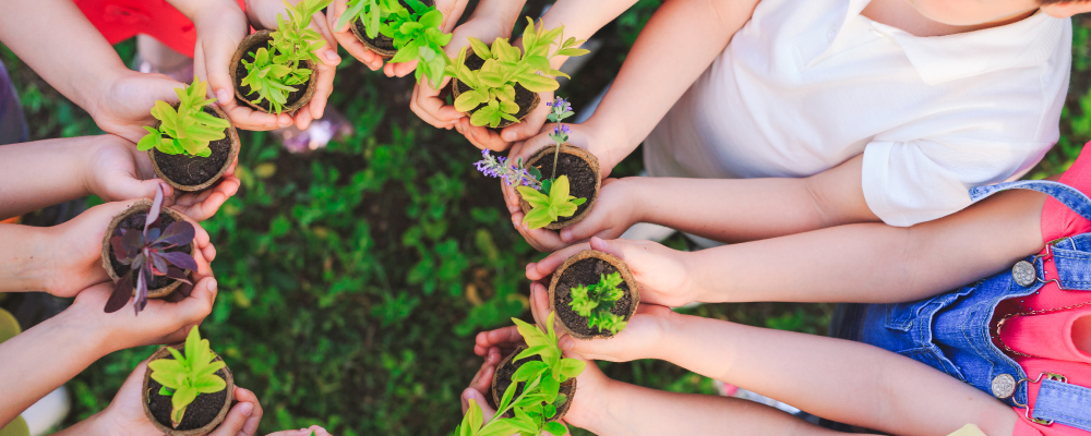Auditor ISO 14001:2026. Sistemas de Gestión Ambiental